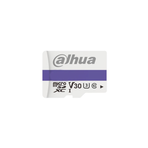 Micro SD card Dahua DHI-TF-C100 256GB